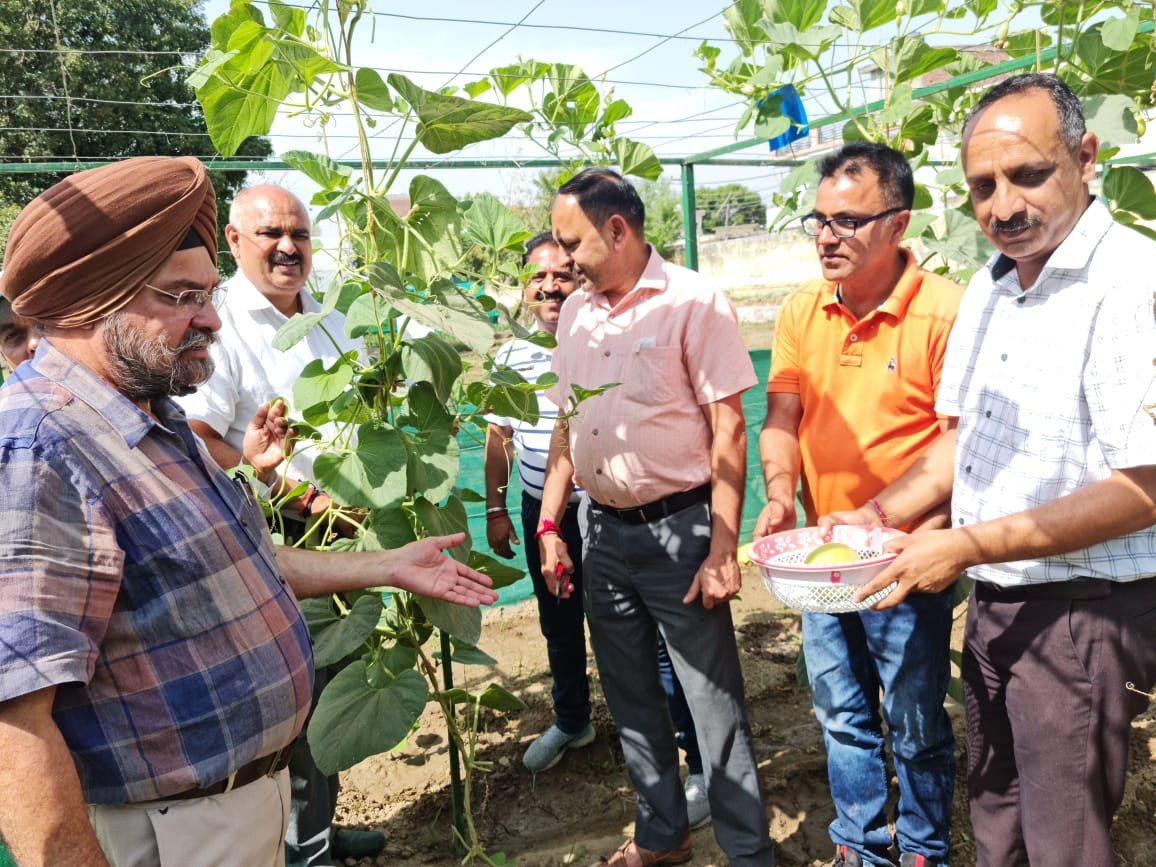 First Harvest Of Bottle Gourd, Bitter Gourd Begins At Krishi Bhawan ...