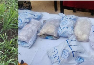 Over 6.5 kg heroin dropped by drone from Pakistan seized along IB in Jammu