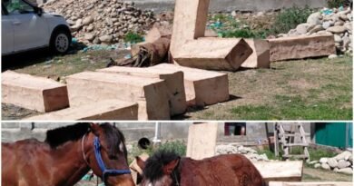 Timber smuggling bid foiled in Pulwama, two arrested
